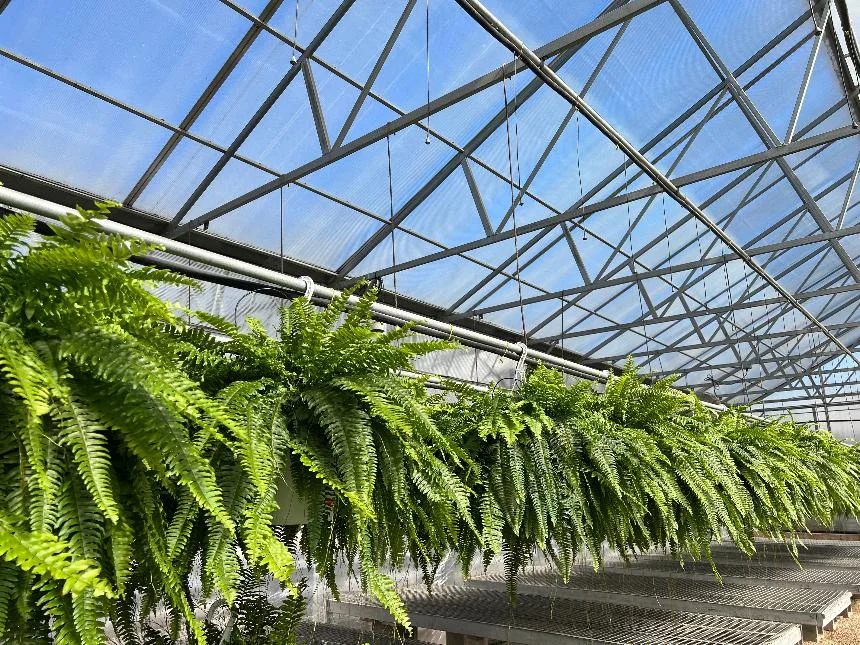 Dom's Garden Center business photo